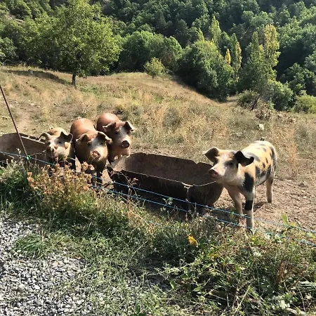 Дом отдыха Gite A La Ferme La Bedigue La Robine-Sur-Galabre