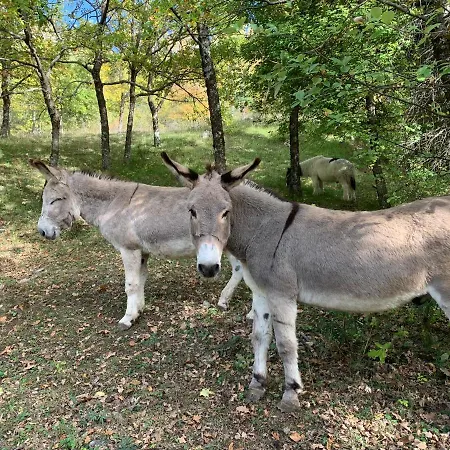 Gite A La Ferme La Bedigue La Robine-Sur-Galabre