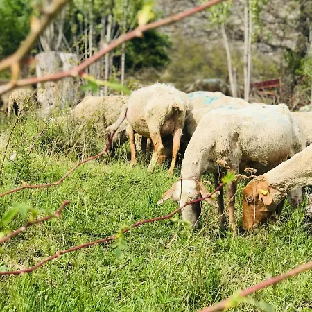 Дом отдыха Gite A La Ferme La Bedigue La Robine-Sur-Galabre